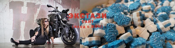 спиды Майский